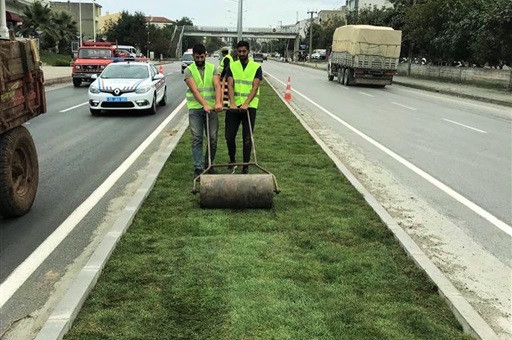 Orta Refüj